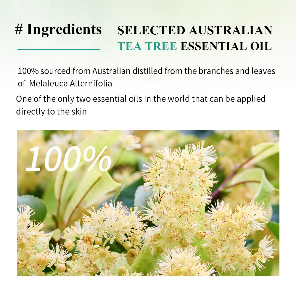 BREYLEE 2% Salicylic Acid Cotton Pads Cleaning Pores Treatment Blackhead Pimple Essence Oil Control Removal Health And Beauty