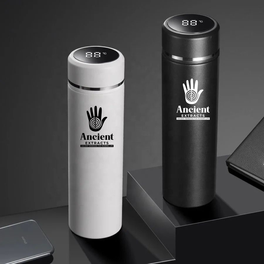 500ml Stainless Steel Digital LED Vacuum Flask | Watter Cups