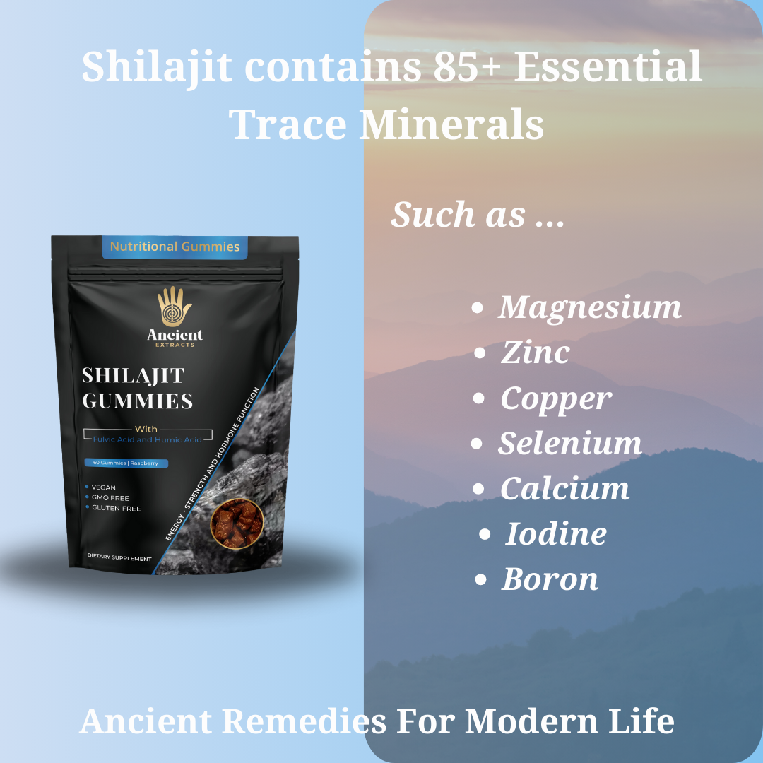 Shilajit Gummies Blueberry Flavour | Health